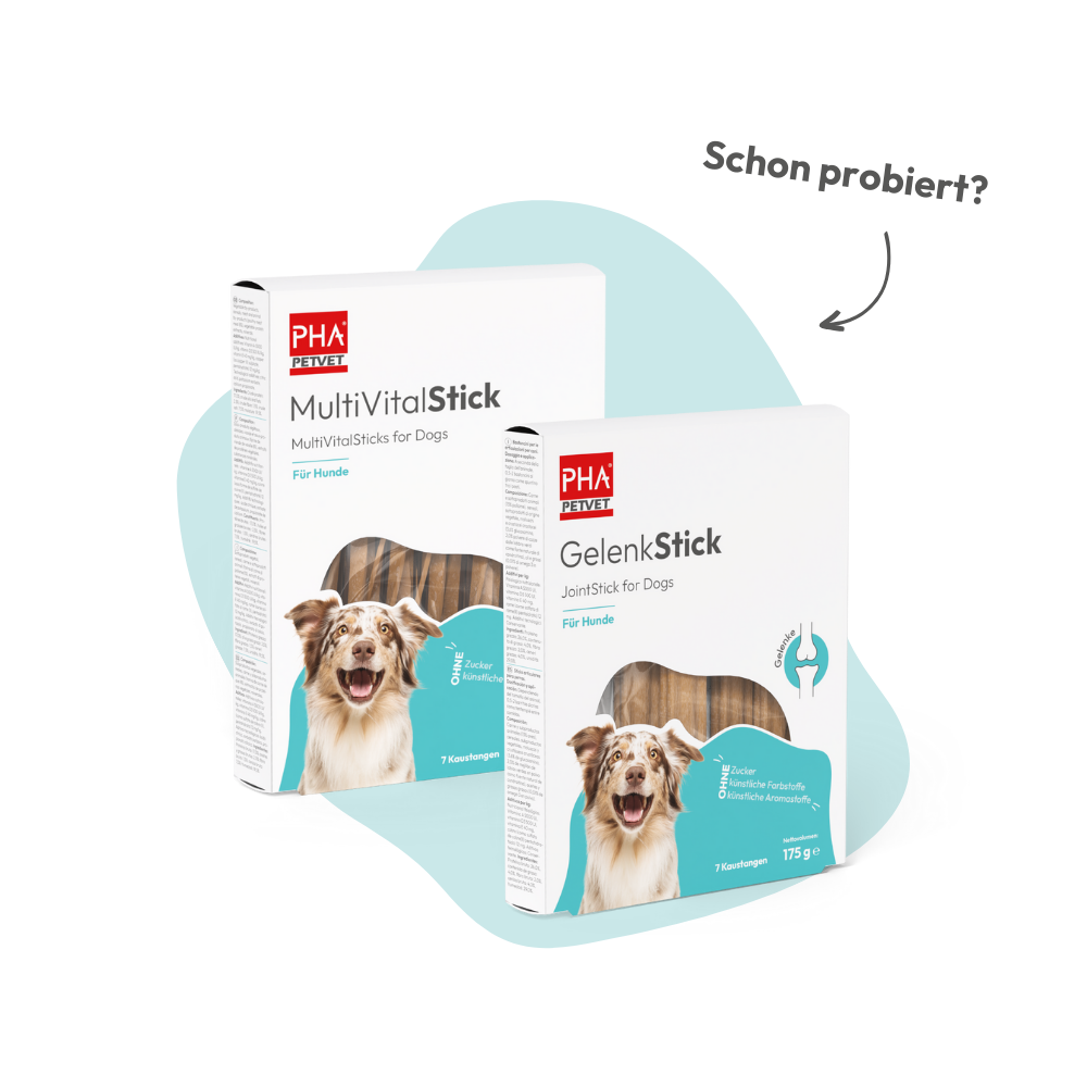 PHA DentalStick für Hunde, 7 Stk.