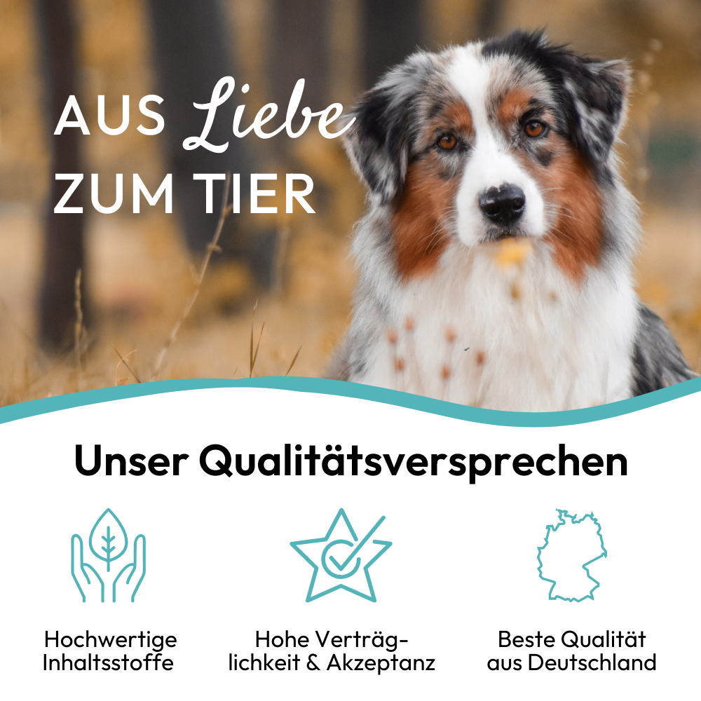 PHA DentalStick für Hunde, 7 Stk.