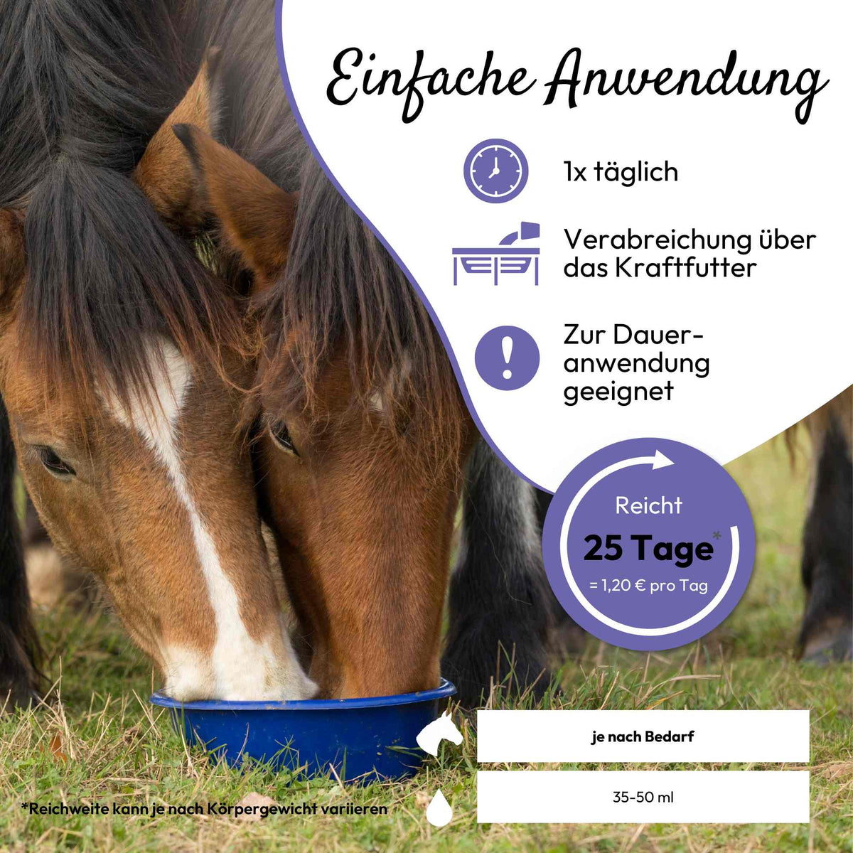 PHA AtmungAktiv Liquid für Pferde