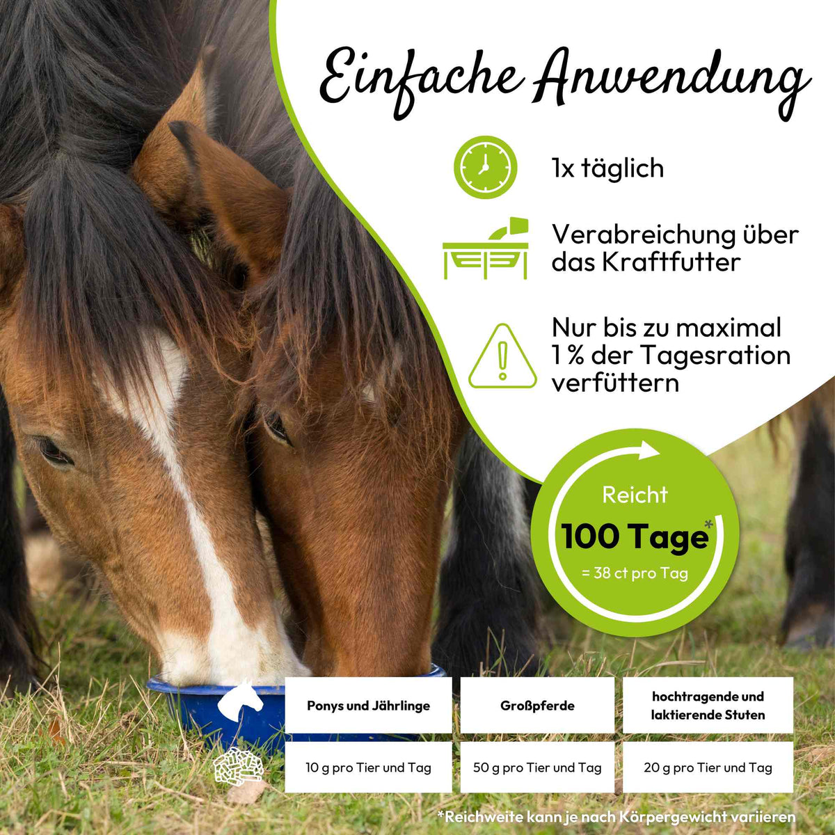 PHA BasisMineralPlus Pellets für Pferde
