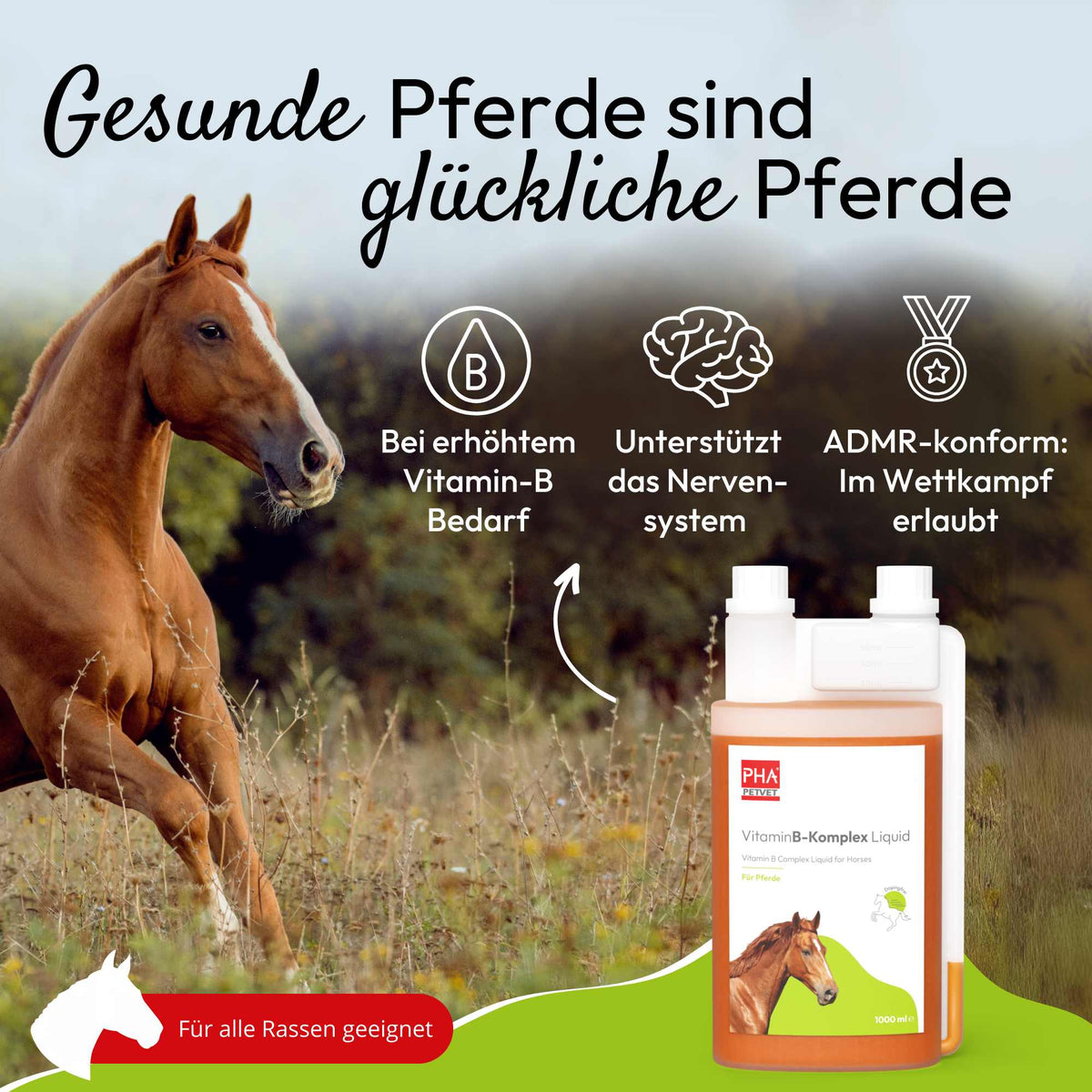 PHA VitaminB- Komplex Liquid