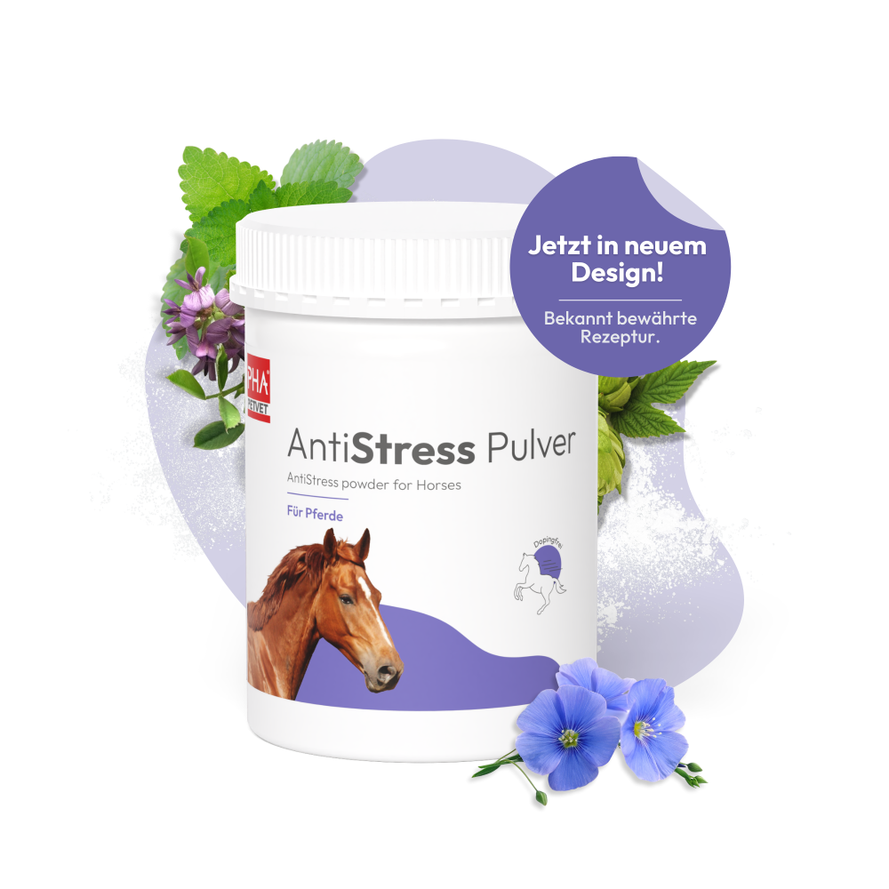 PHA AntiStress Pulver für Pferde