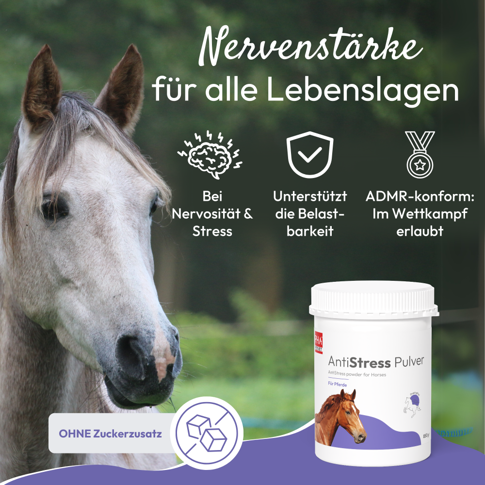 PHA AntiStress Pulver für Pferde