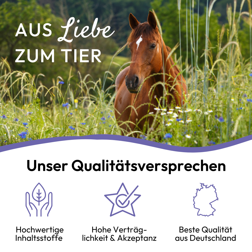 PHA AntiStress Pulver für Pferde