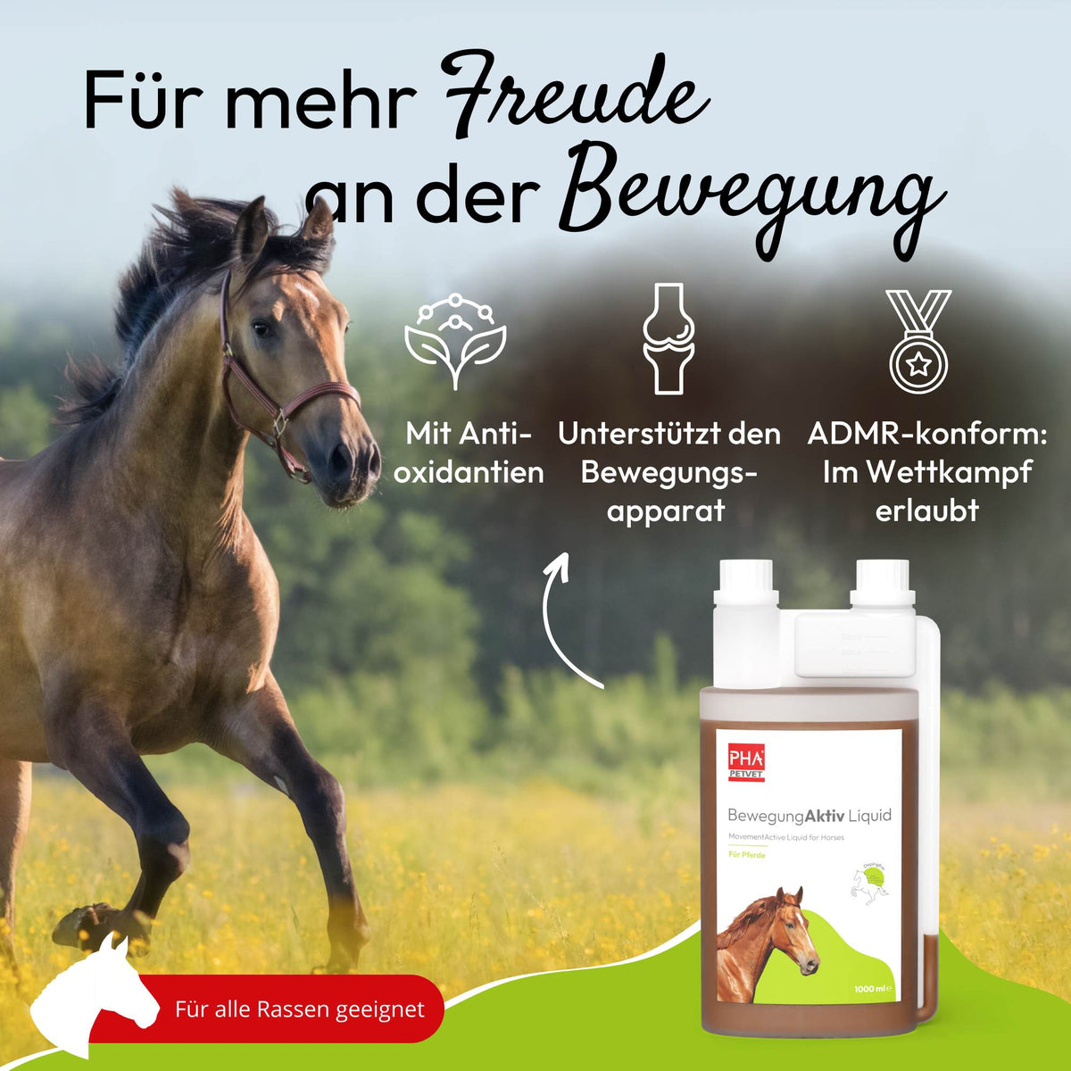 PHA BewegungAktiv Liquid für Pferde