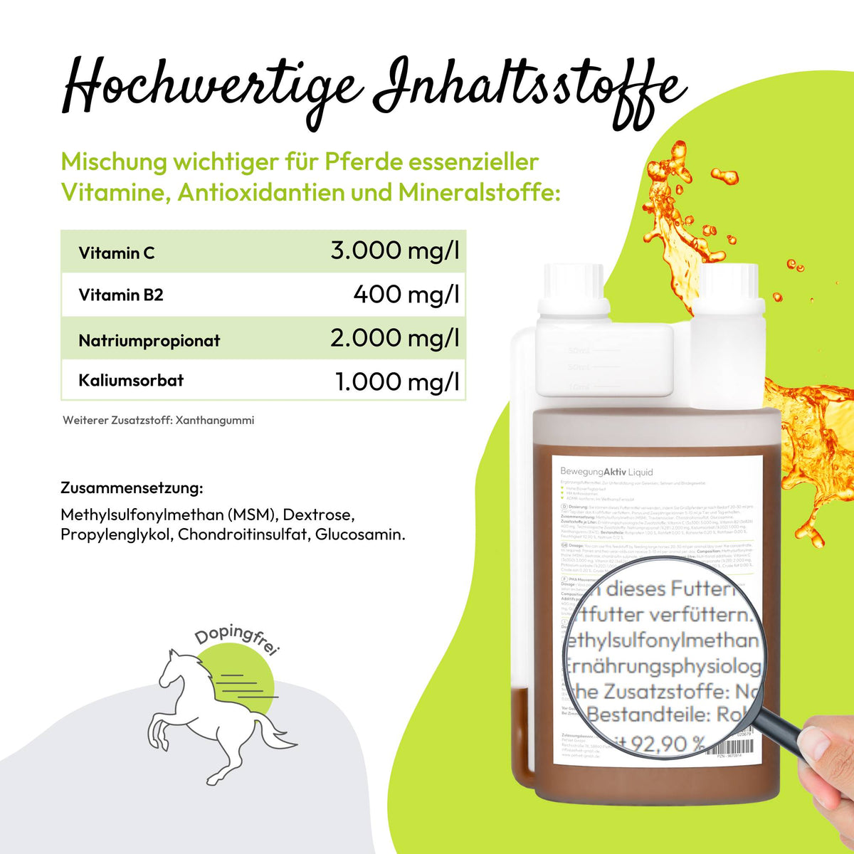 PHA BewegungAktiv Liquid für Pferde