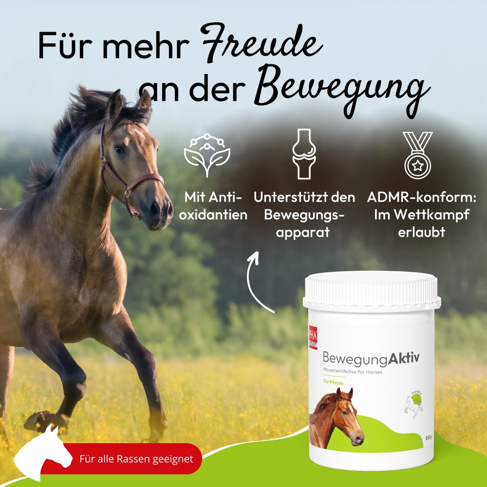 PHA BewegungAktiv für Pferde