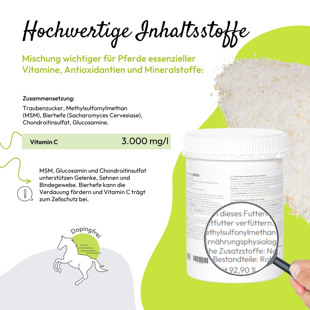 PHA BewegungAktiv für Pferde