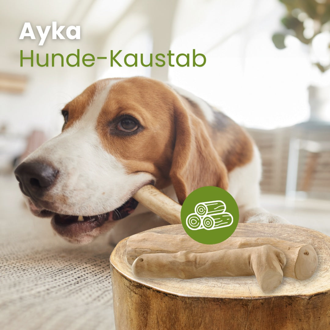 Hunde-Kaustab