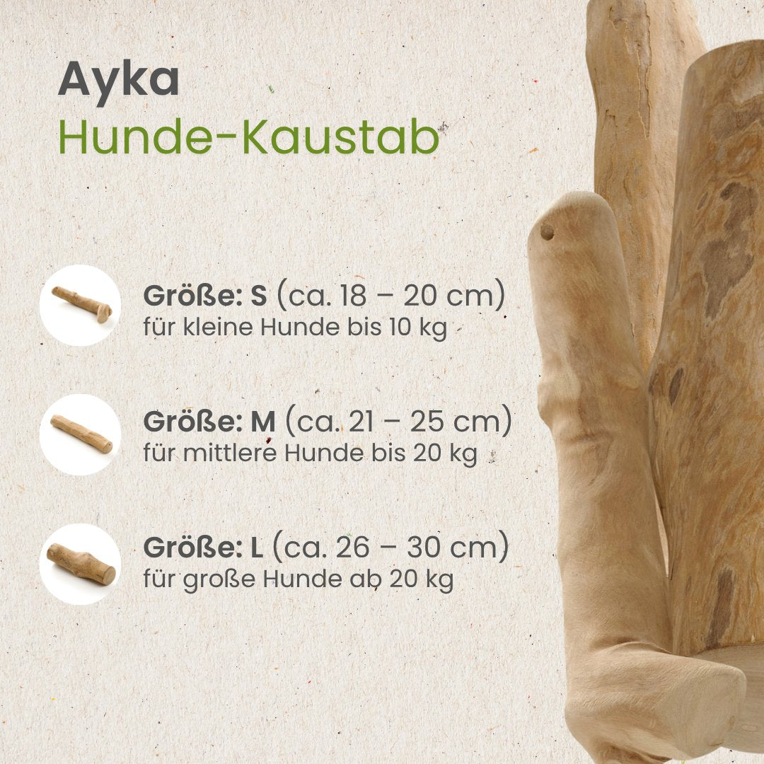 Hunde-Kaustab