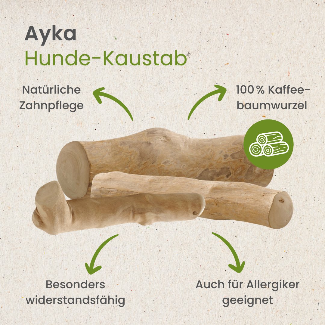 Hunde-Kaustab