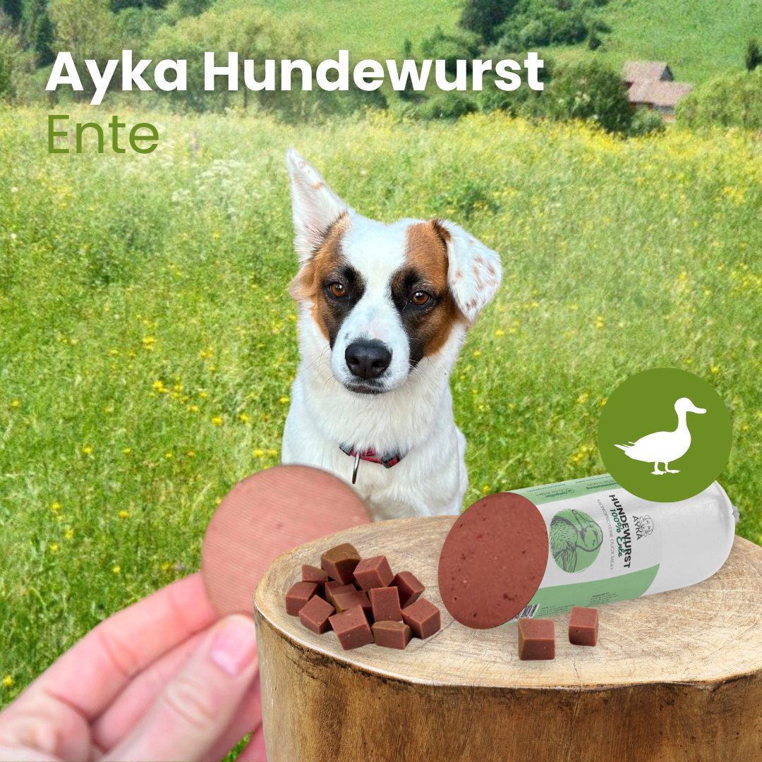 Ayka Hundewurst Ente