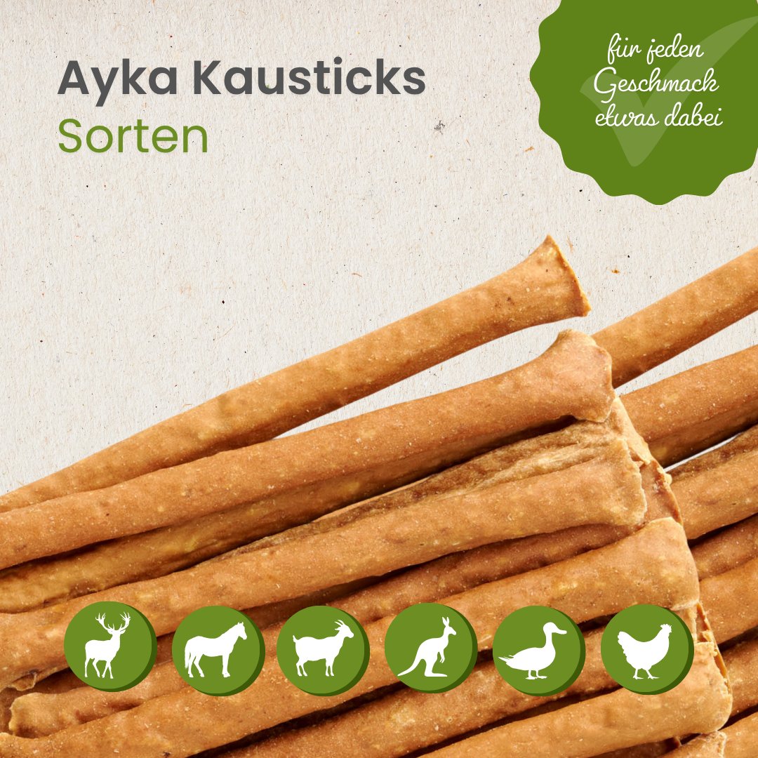 AYKA Kausticks Huhn