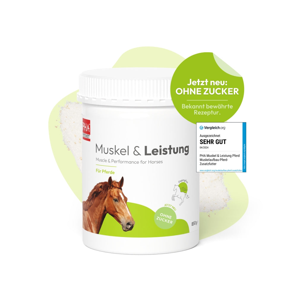 PHA Muskel & Leistung für Pferde