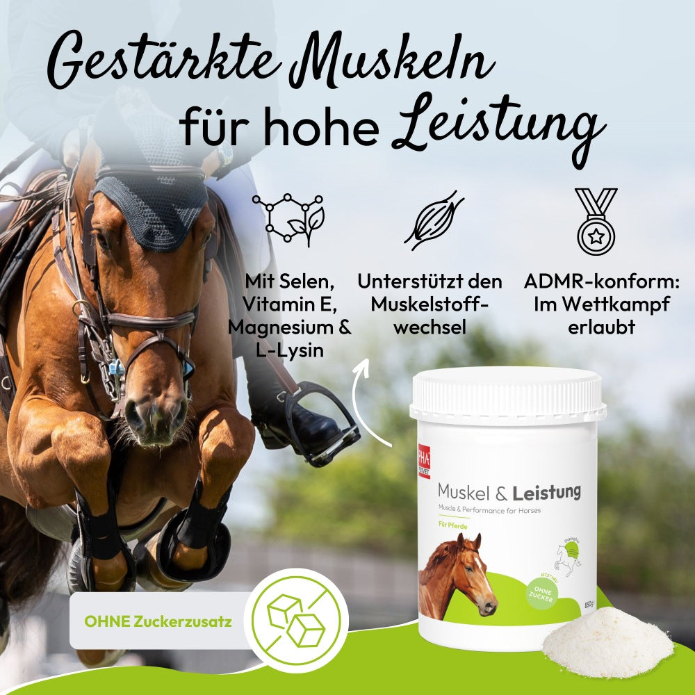 PHA Muskel & Leistung für Pferde