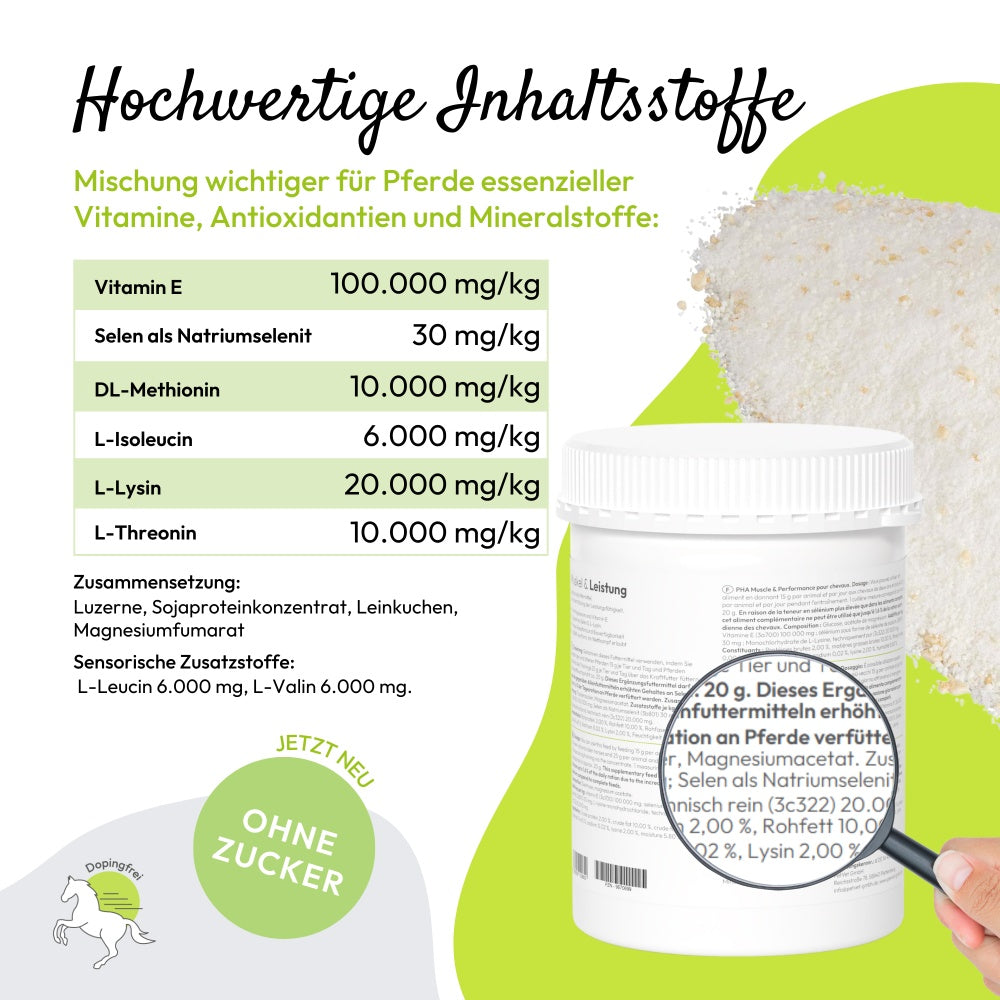 PHA Muskel & Leistung für Pferde