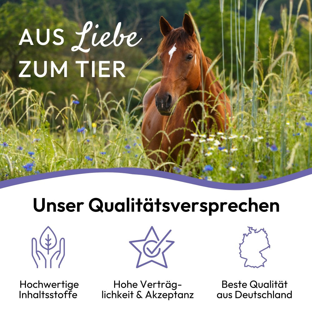 PHA AntiStress Liquid für Pferde