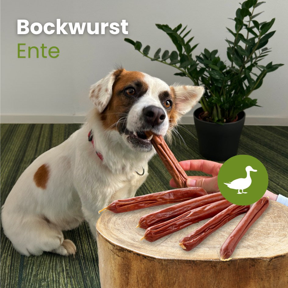 Bockwurst Ente