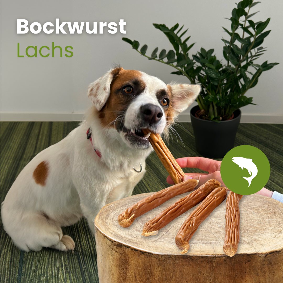 Bockwurst-Lachs