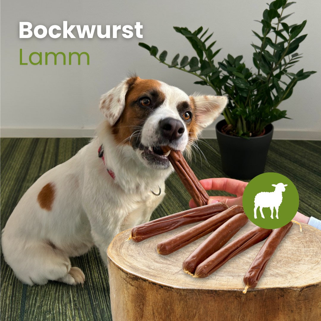 Bockwurst-Lamm