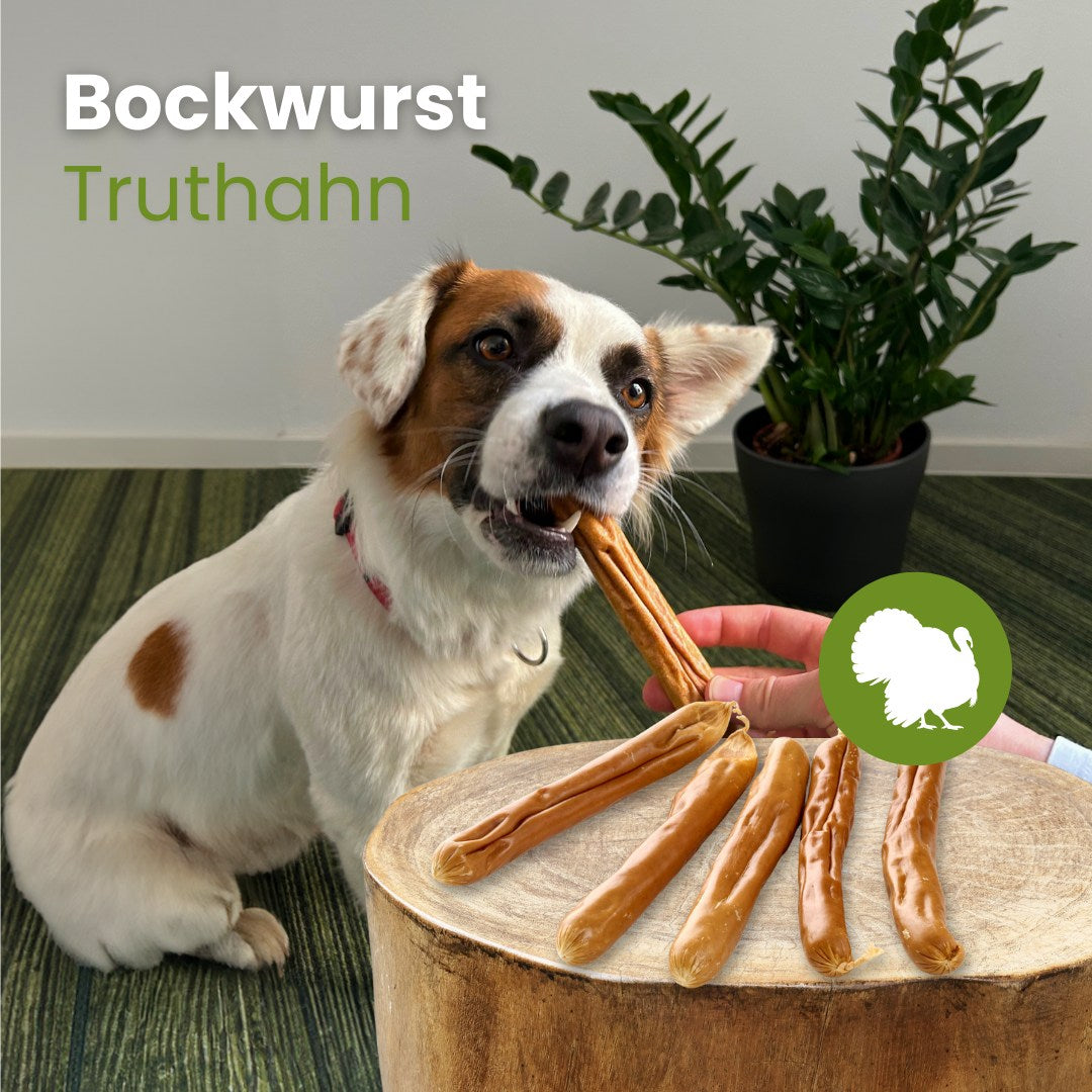 Bockwurst Truthahn