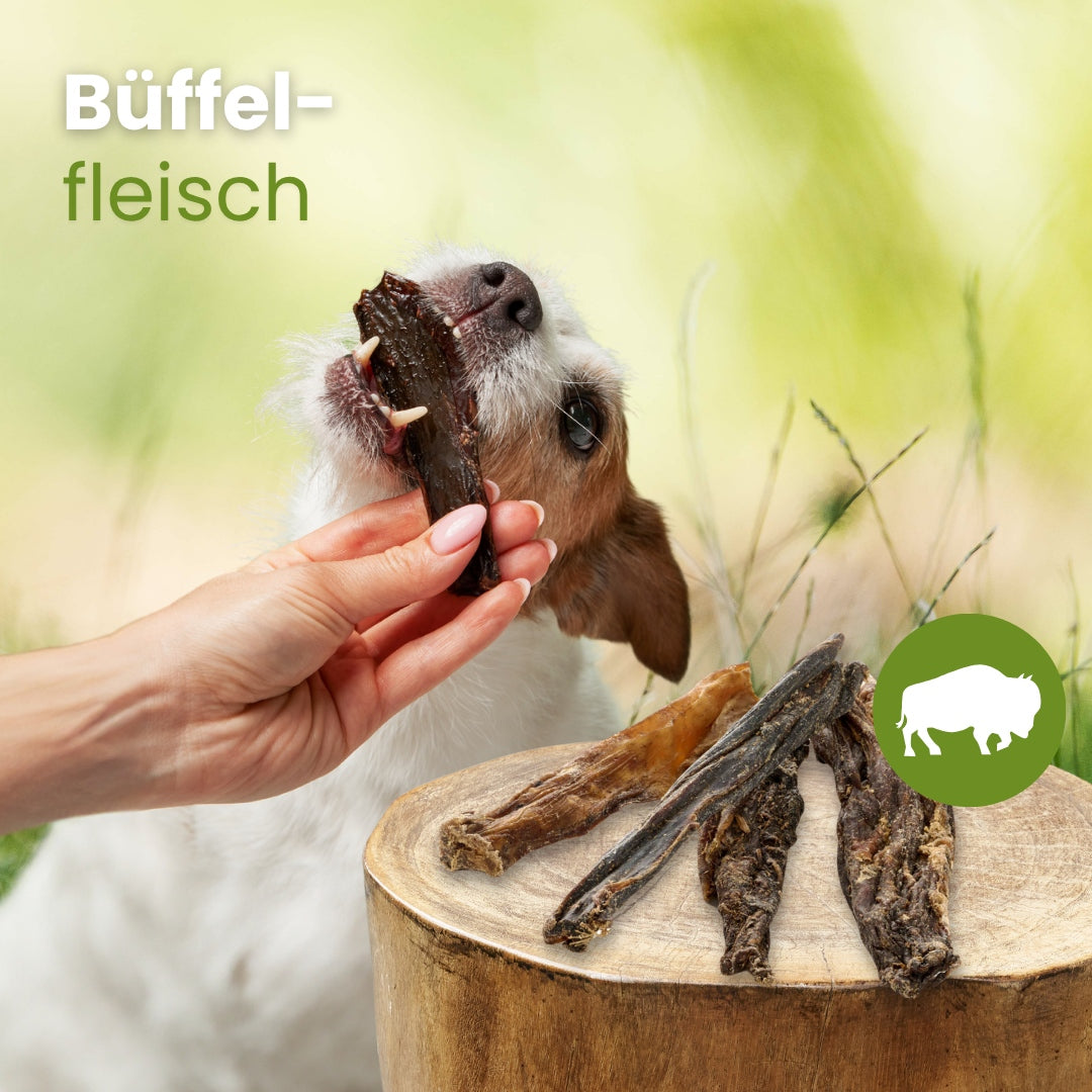 Büffel-Fleisch