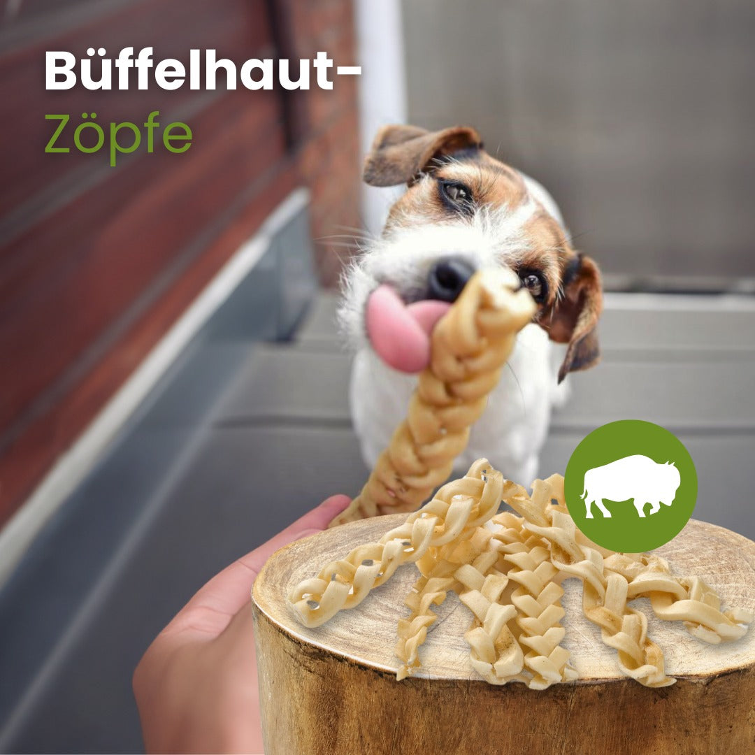 Büffelhaut-Zöpfe