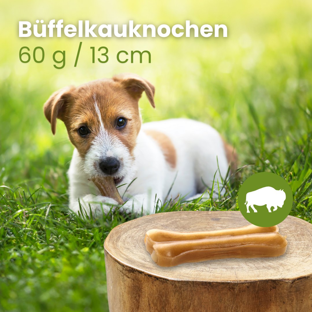 Büffelknochen, 60g, ca.13cm