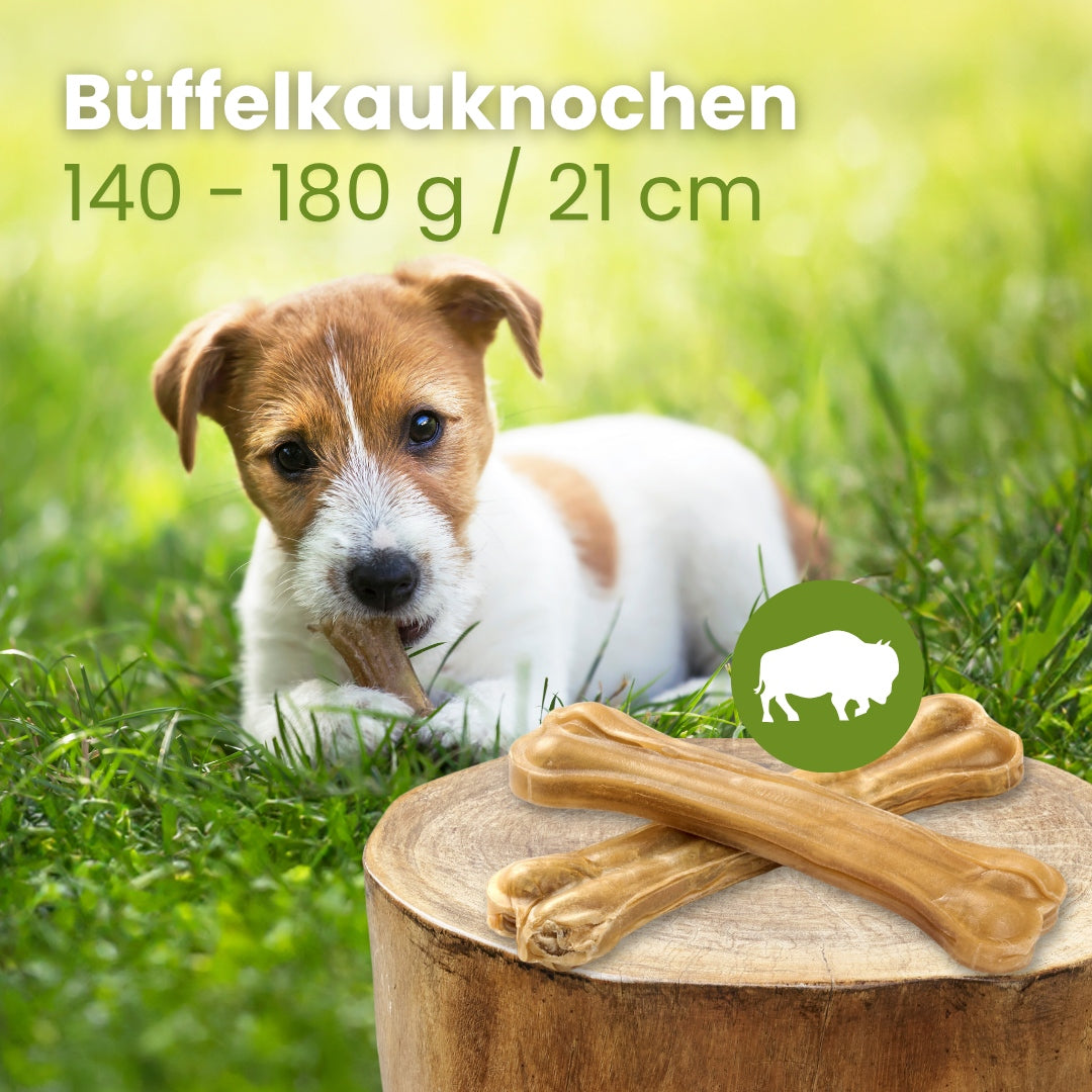 Büffelknochen, 140-180g / 21cm