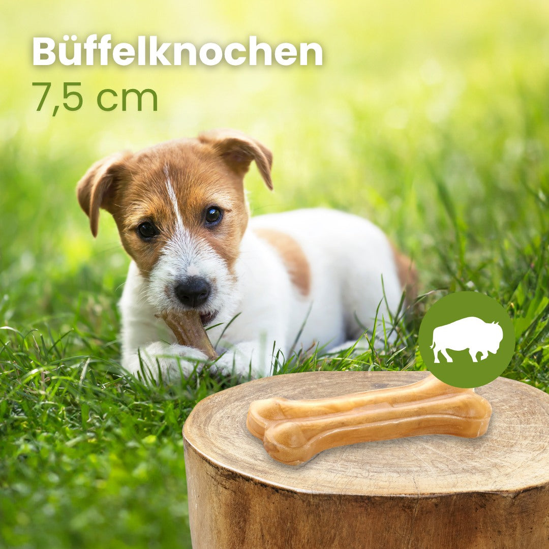 Büffelknochen, 7,5 cm