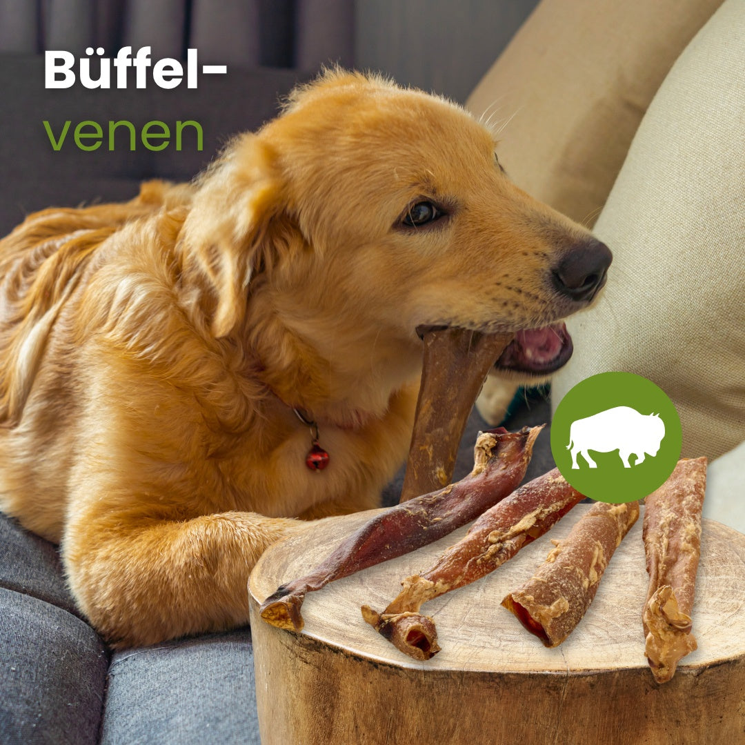 Büffel-Venen