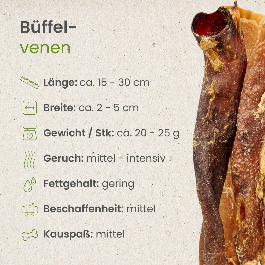 Büffel-Venen