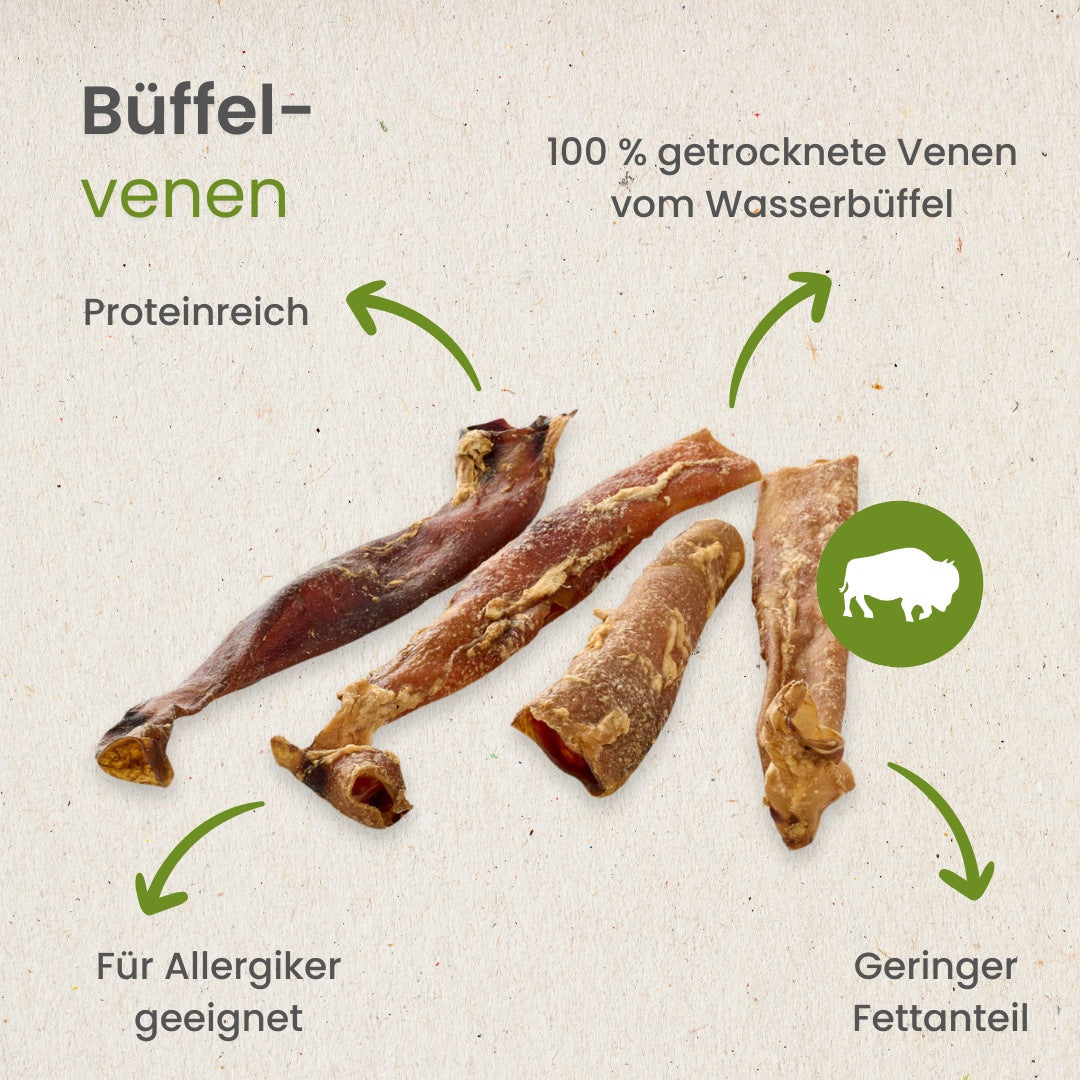 Büffel-Venen