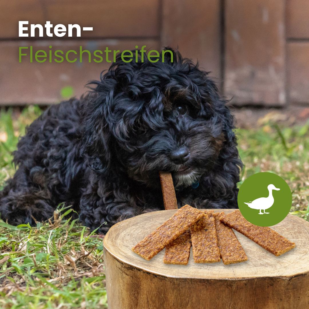 Enten-Fleischstreifen