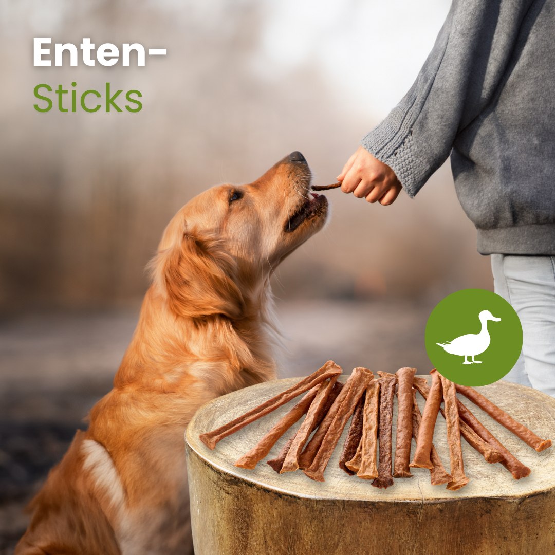 Enten-Sticks