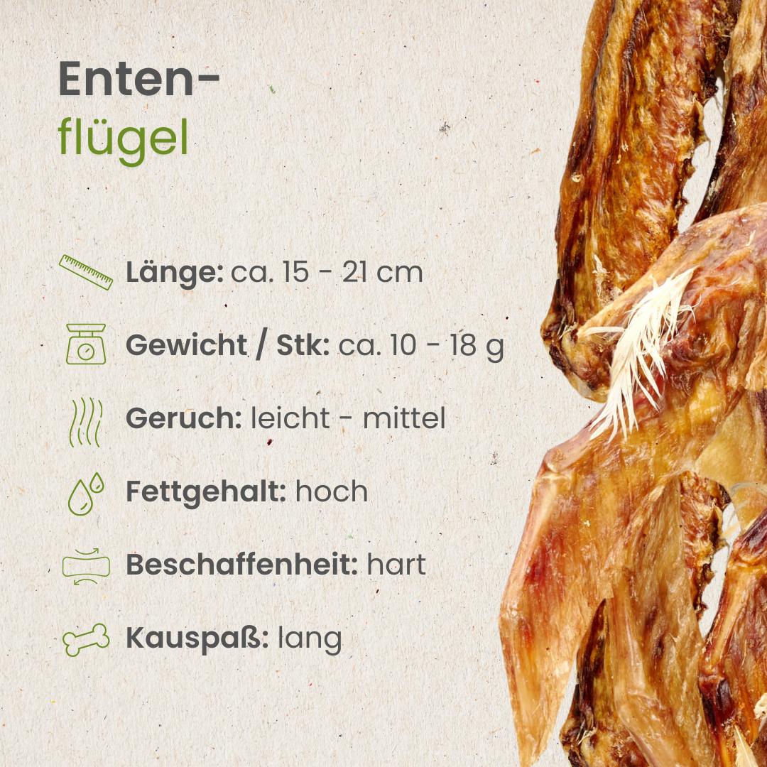 Enten-Flügel
