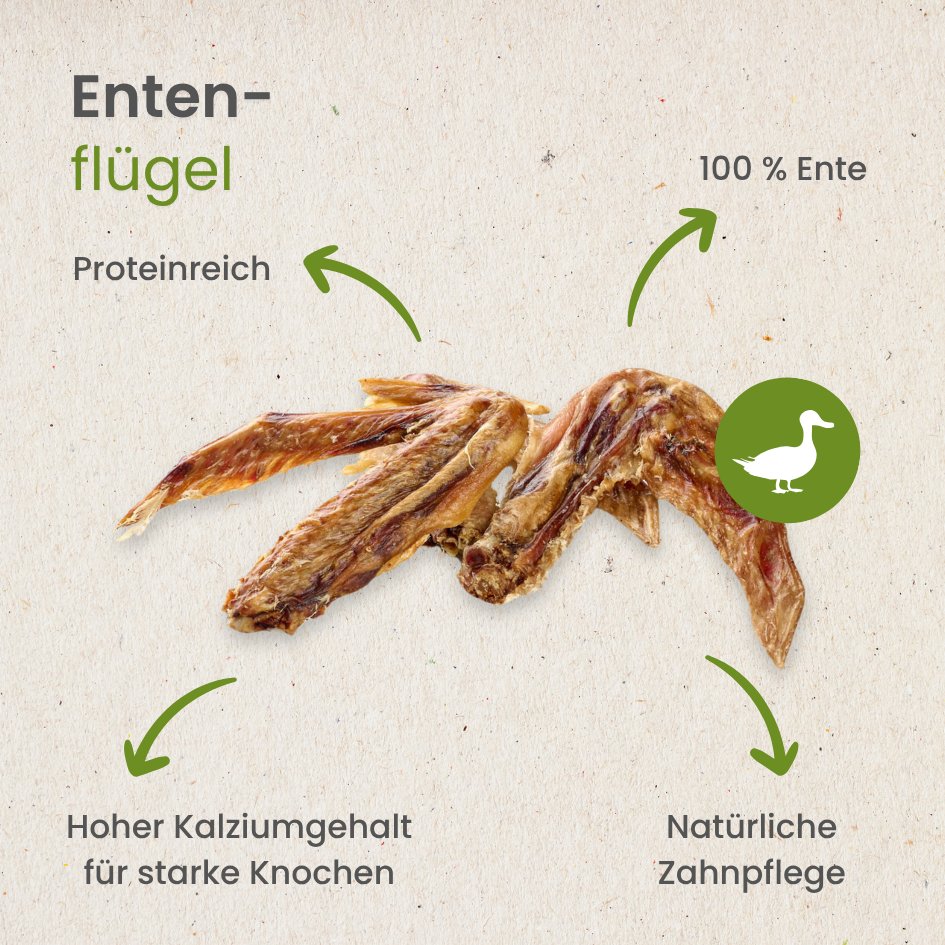 Enten-Flügel