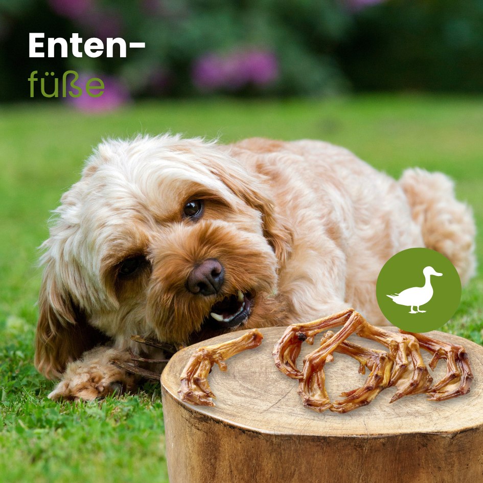 Enten-Füsse