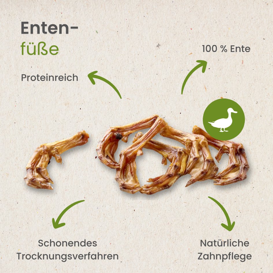 Enten-Füsse