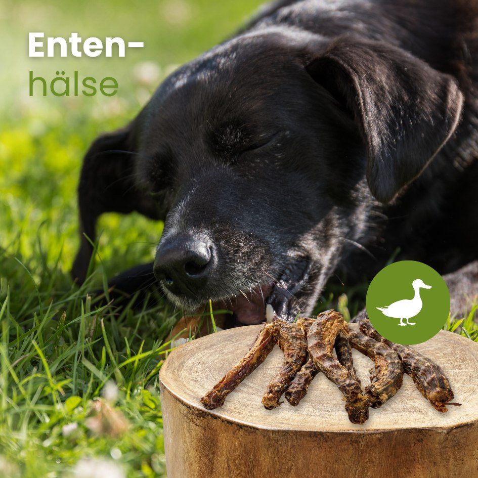 Enten-Hälse