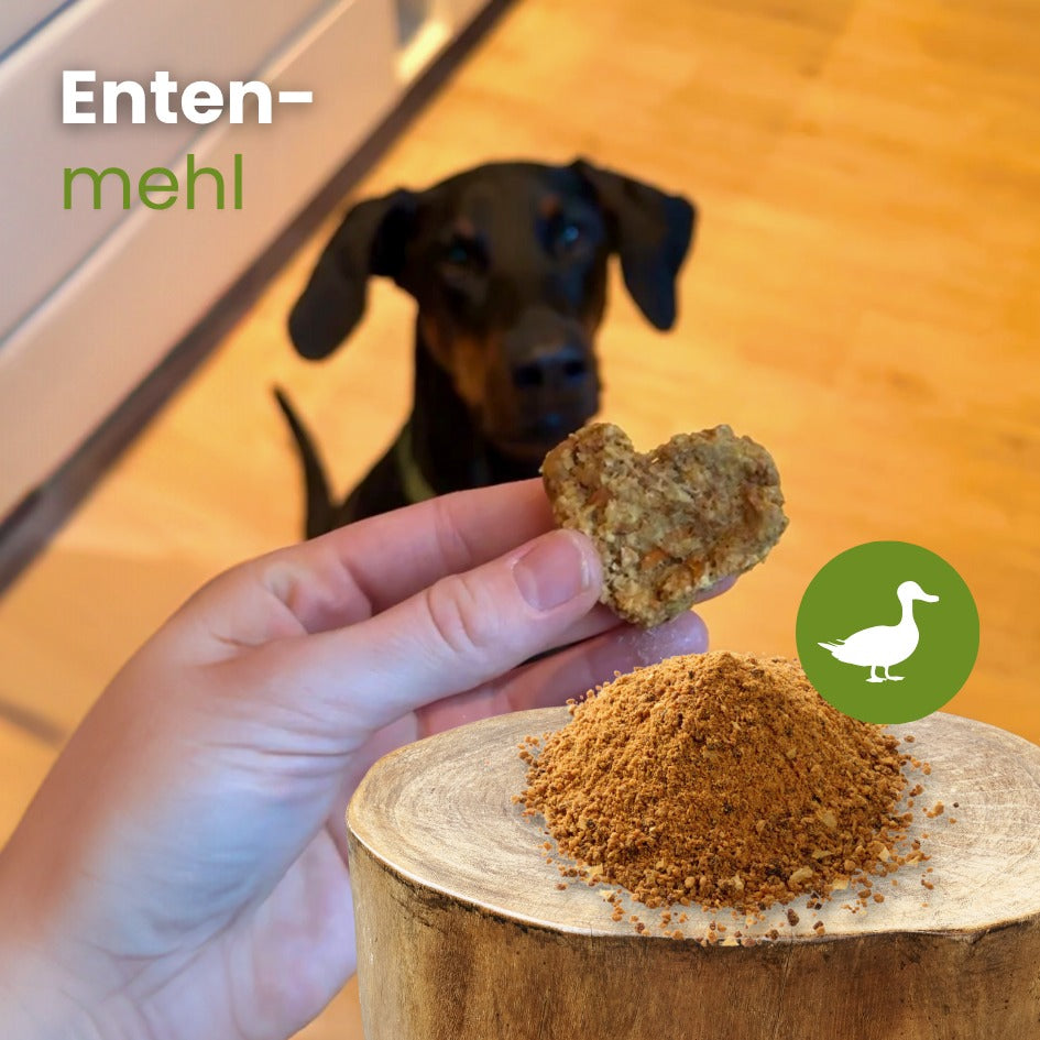 Enten-Mehl