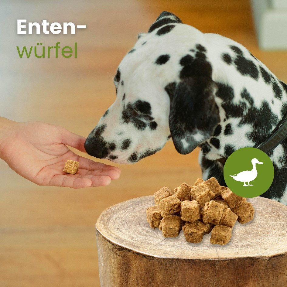 Enten-Würfel