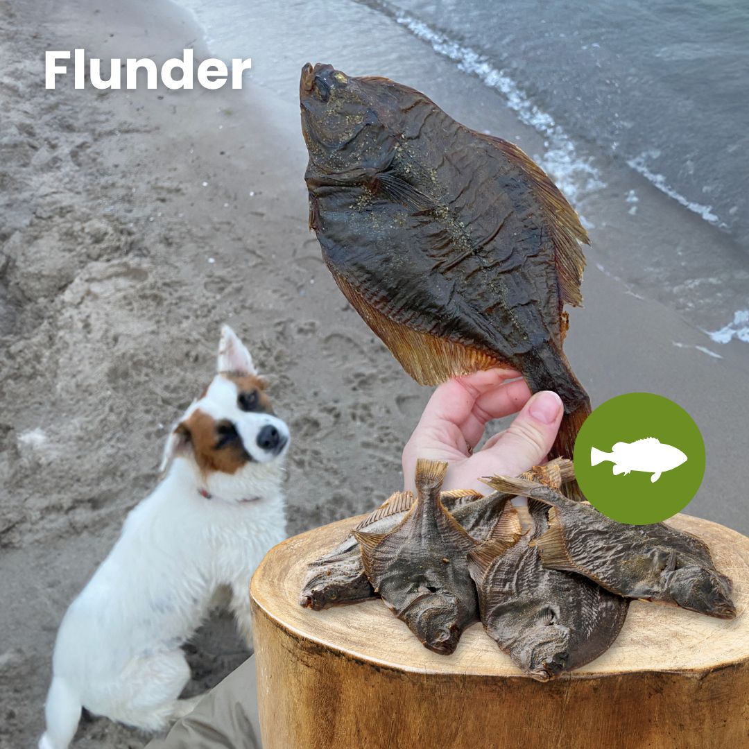 Flunder
