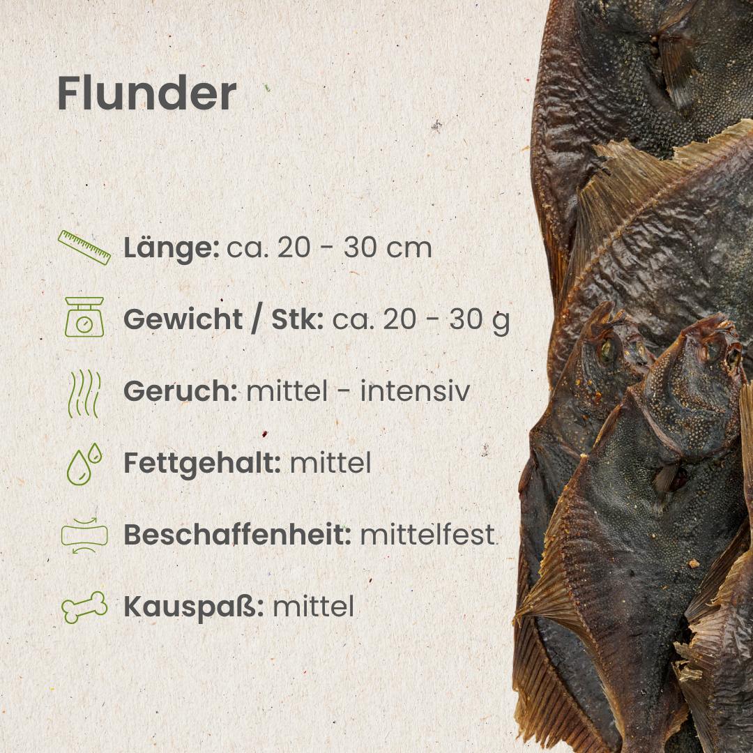 Flunder