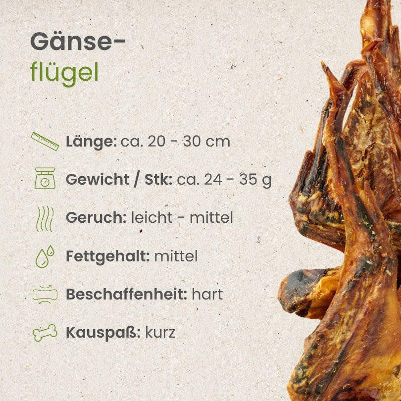 Gänse-Flügel
