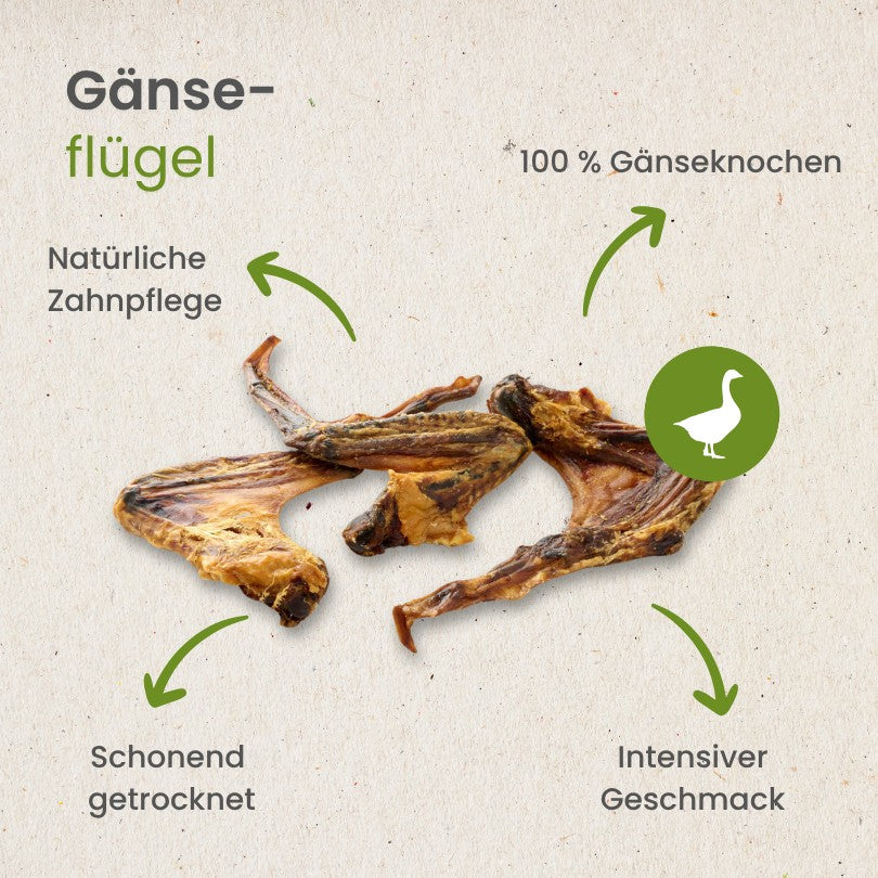 Gänse-Flügel