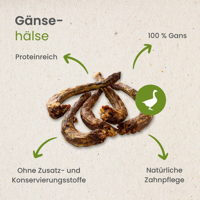 Gänse-Hälse