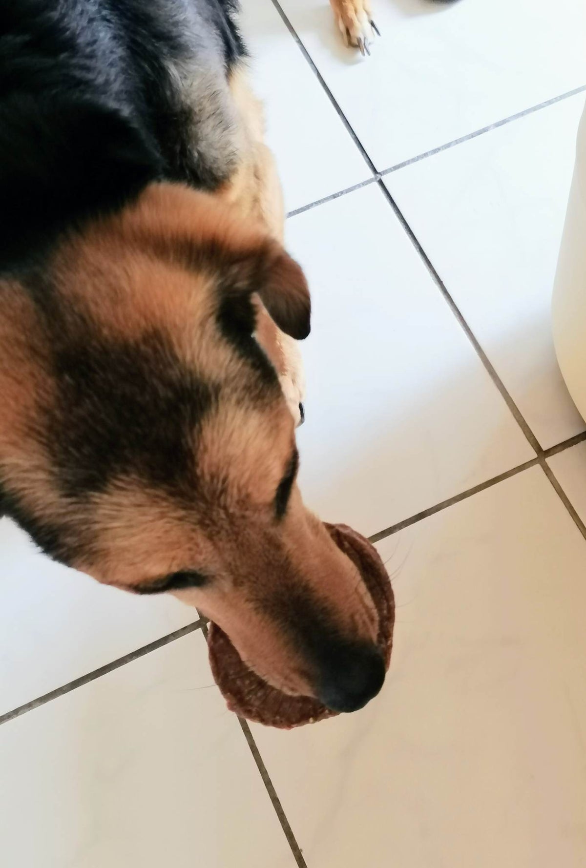 Hühner-Burger