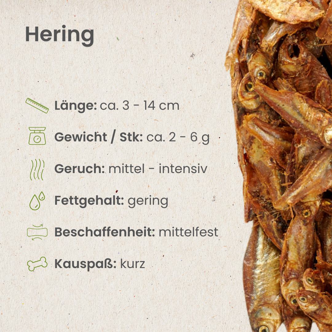 Hering