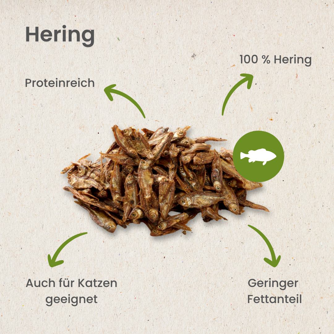 Hering